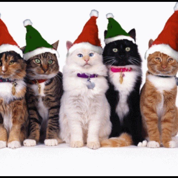 🎄🎅 MERRY CHRISTMAS 🎅🎄