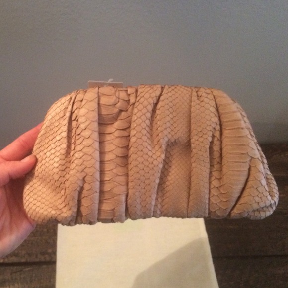 Ambre Babzone Smsll Python Clutch/wallet-powder - Picture 3 of 4