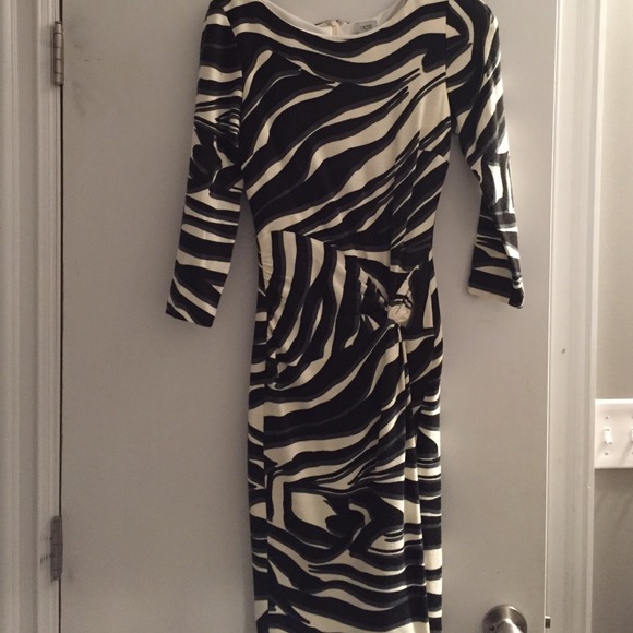 Cache zebra sweater dress