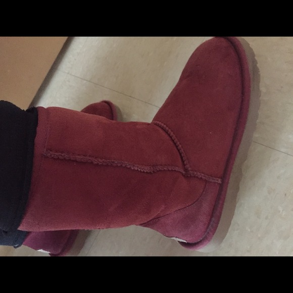 Classic short sangria colored uggs