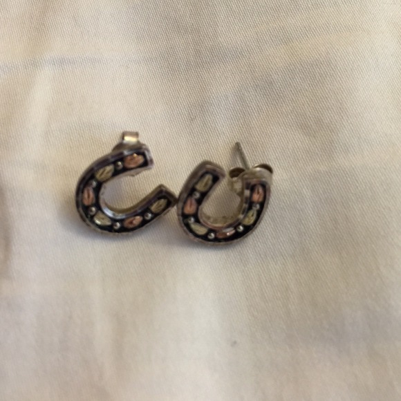 💥SALE💥Black Hills gold earrings and necklace set