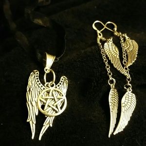 NWOT Wings with pentical  wing earrings