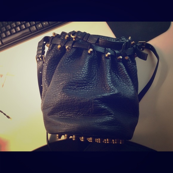 ⛔️SOLD⛔️Alexander Wang Diego bucket bag - Picture 1 of 4