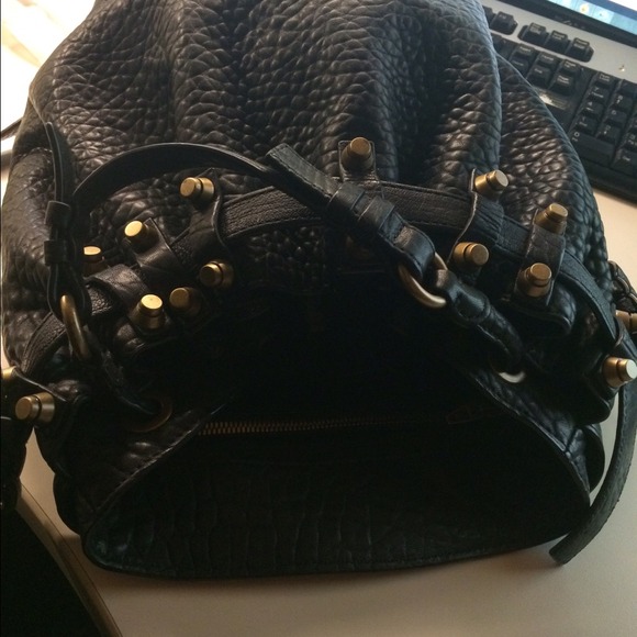 ⛔️SOLD⛔️Alexander Wang Diego bucket bag - Picture 4 of 4