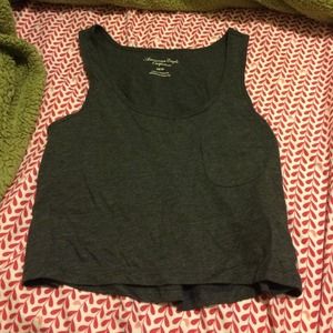 American Eagle Crop Top