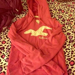 Hollister Hoodie