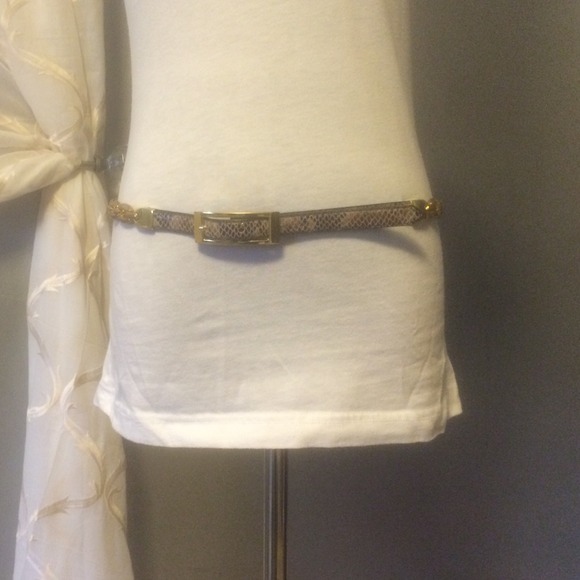 Snakeskin and gold link belt