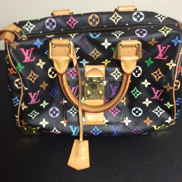 Louis Vuitton multi color