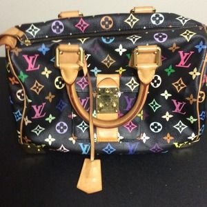 Louis Vuitton multi color