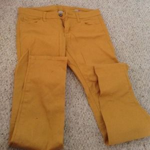 Arizona mustard jeans