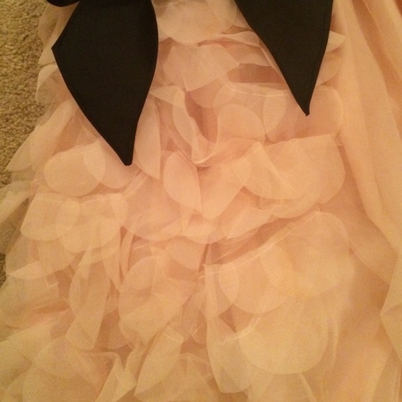 Blush Dress! - Picture 2 of 4