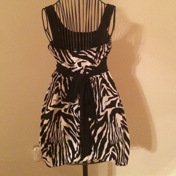 Zebra Print Dress! - Picture 3 of 3