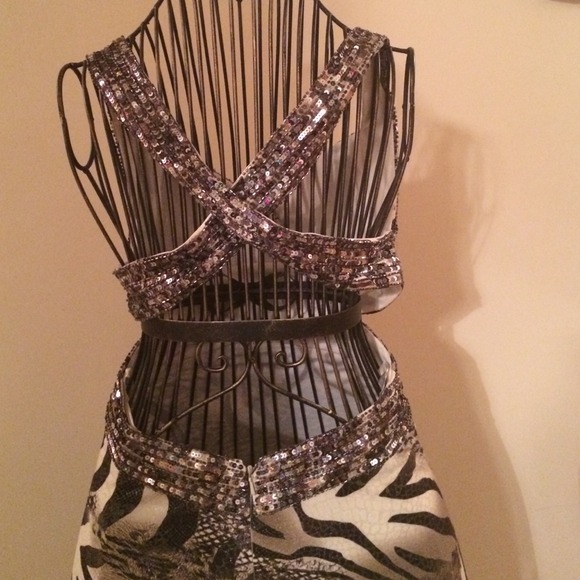 Gorgeous Gown! - Picture 4 of 4