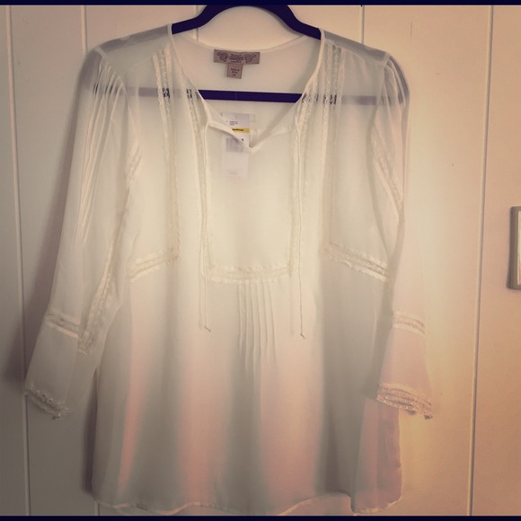 NWT beautiful beige shear pheasant blouse