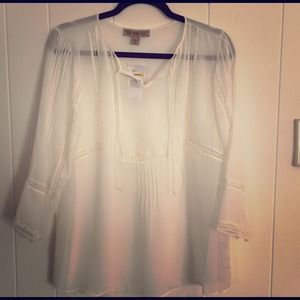 NWT beautiful beige shear pheasant blouse