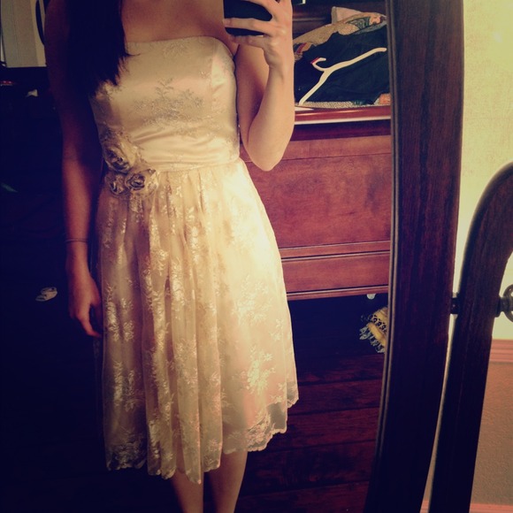 Champagne colored David's Bridal dress