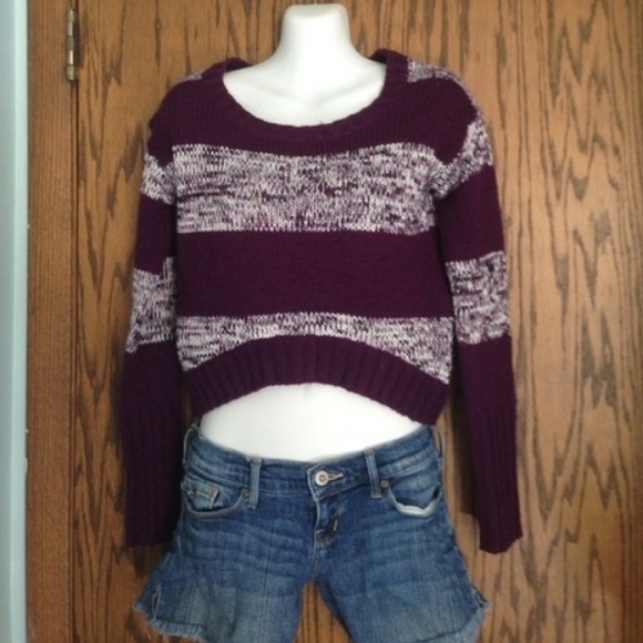 belly shirt sweater