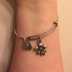 Alex & Ani Apple Blossom Silver Bracelet