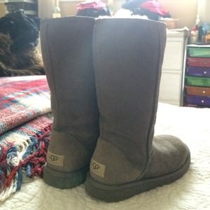 Tall Grey Uggs 100% Authentic