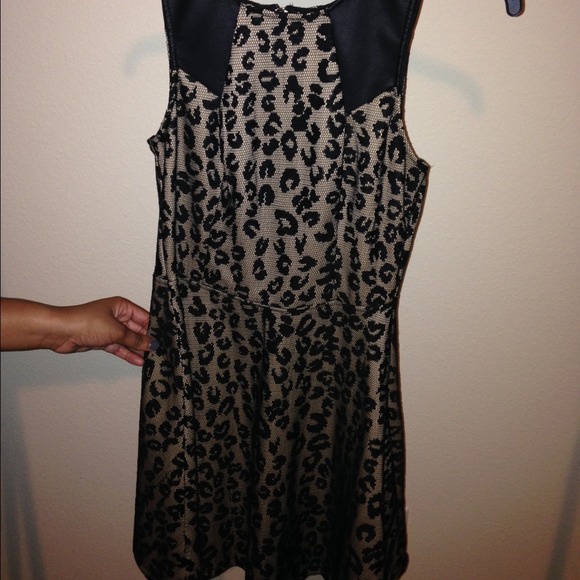 Cheetah Print dress with black pleather sleeves.