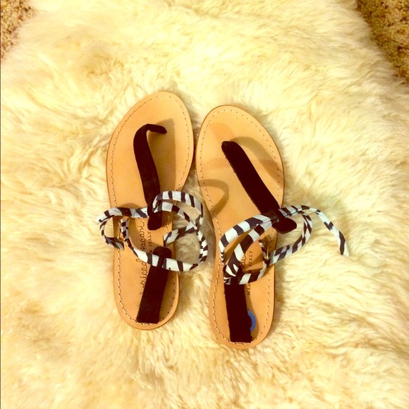 Nicolo Vacari zebra print sandals sz 61/2 .