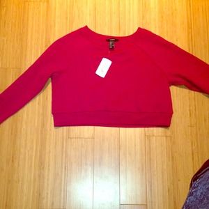 Burgundy Crop Top Swearshirt