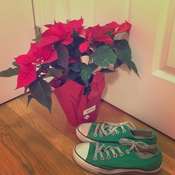 SALE! ⭐️Green Converse All-Stars