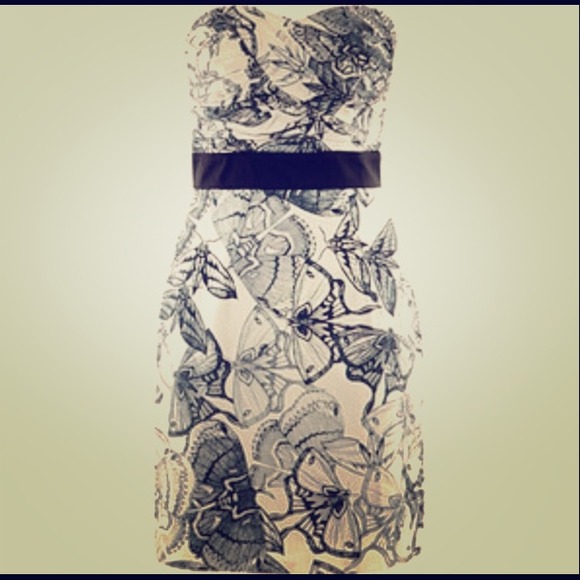 HandM butterfly corseted dress