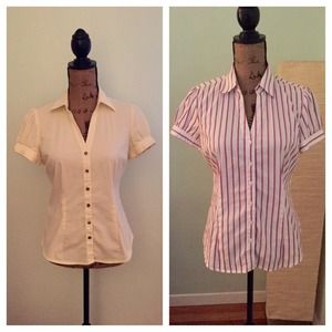 Express Dress Shirt Bundle