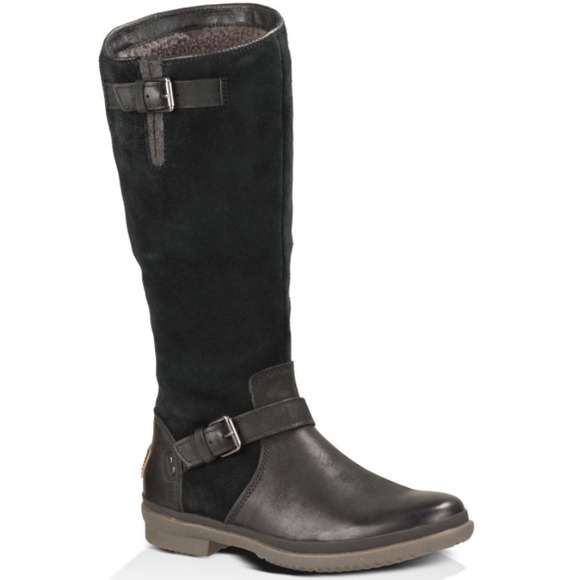 ugg abree tall leather