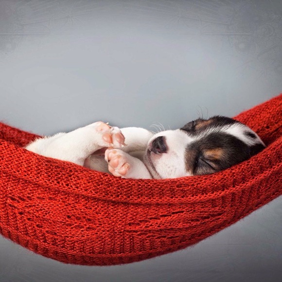 I Am Not Available At This Time. - Picture 3 of 3