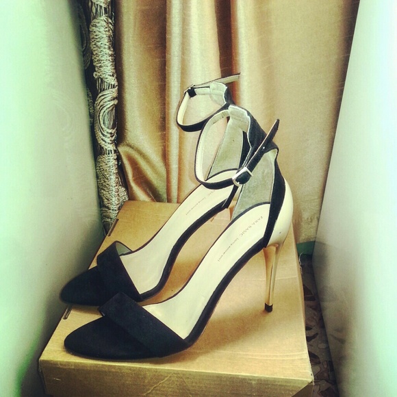 Zara Basic Heels.