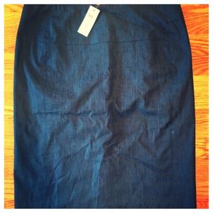 NWT Ann Taylor Skirt