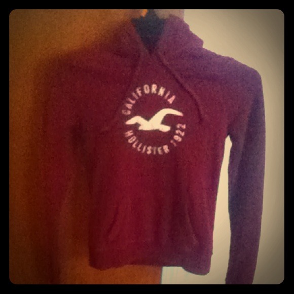 Holister Hoodie
