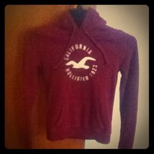 Holister Hoodie