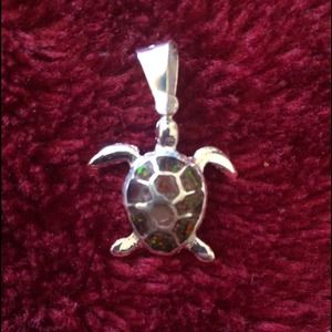 Turtle charm