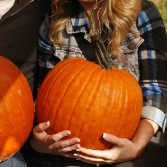 Blue Plaid Flannel - Picture 3 of 4