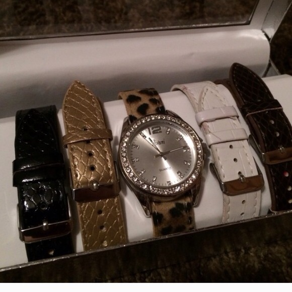 Vivani watch with interchangeable bands