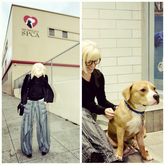 Ivy Jane Pants