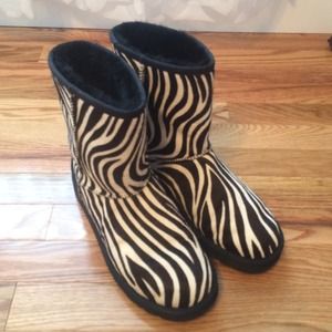 Zebra Uggs