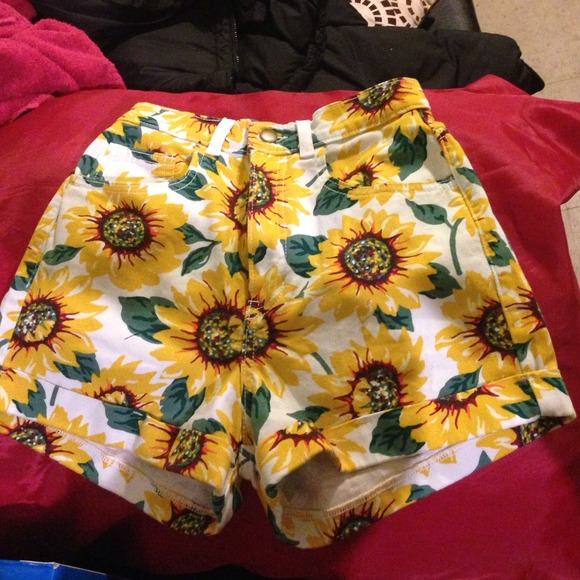 Sunflower shorts