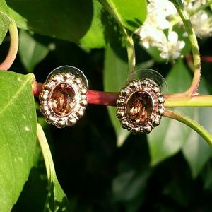 ☆HP×2☆ Jewelmint Amber Amore Earrings