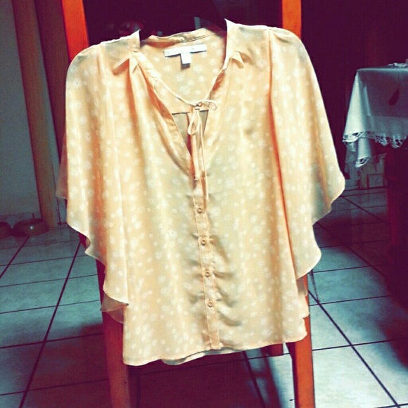 Lauren Conrad button down blouse light pink - Picture 1 of 3