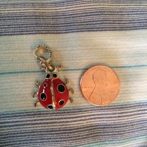 Ladybug charm