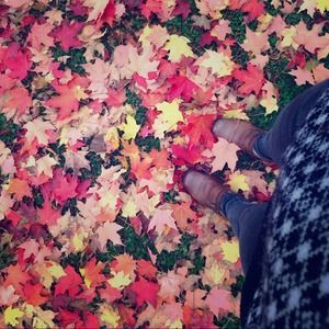 💕Bundle for @chloecmain💕