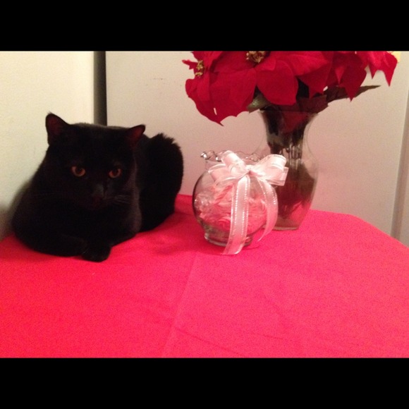 Merry Christmas 🎅🎄 not for sale