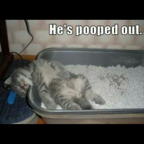 Meet your seller/buyer - Picture 4 of 8