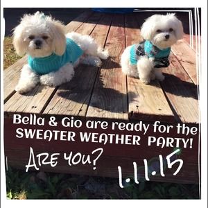 Are you ready to party!!  Picks have been chosen!