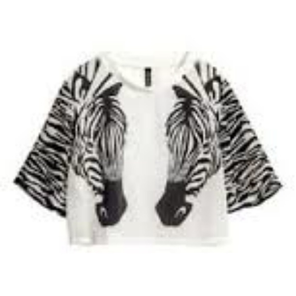 [H&M] sheer zebra crop top black and white - Picture 2 of 2