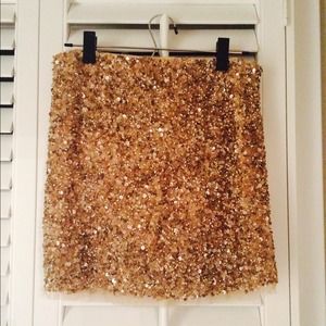 Zara gold sequin skirt (size small)